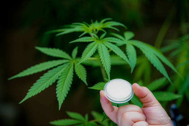 CBD Cream for Muscle Pain Canada Targeted Relief Options